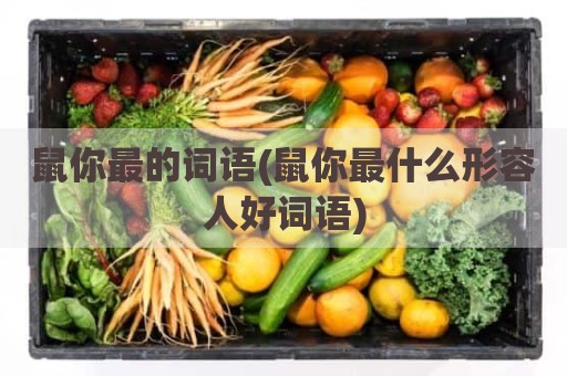 鼠你最的词语(鼠你最什么形容人好词语)