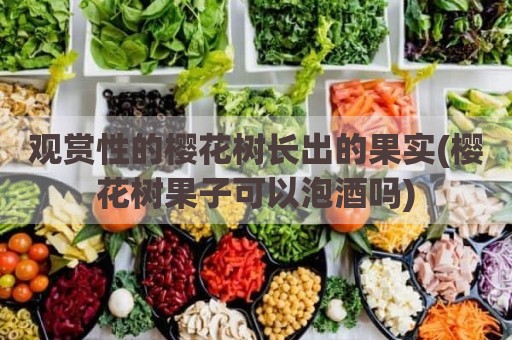 观赏性的樱花树长出的果实(樱花树果子可以泡酒吗)