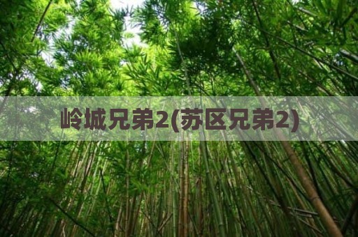 岭城兄弟2(苏区兄弟2)