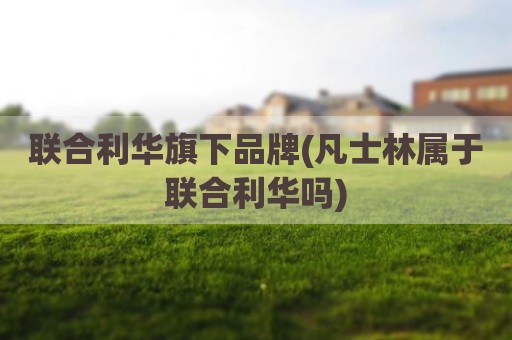 联合利华旗下品牌(凡士林属于联合利华吗)