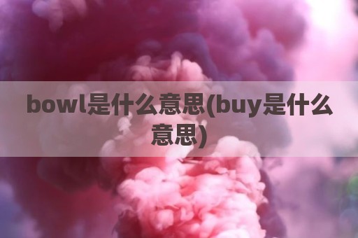 bowl是什么意思(buy是什么意思)