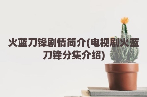 火蓝刀锋剧情简介(电视剧火蓝刀锋分集介绍)