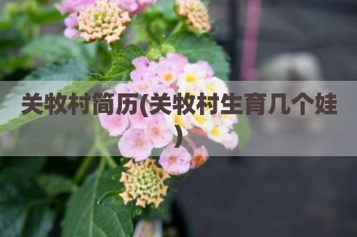 关牧村简历(关牧村生育几个娃)