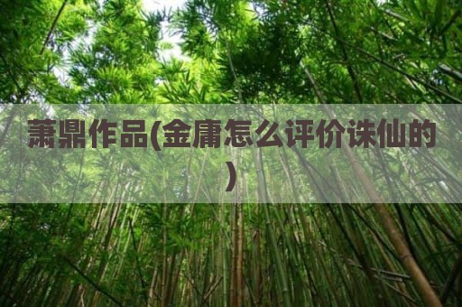 萧鼎作品(金庸怎么评价诛仙的)
