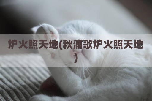 炉火照天地(秋浦歌炉火照天地)