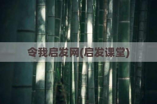 令我启发网(启发课堂)