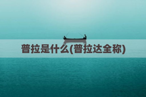 普拉是什么(普拉达全称)