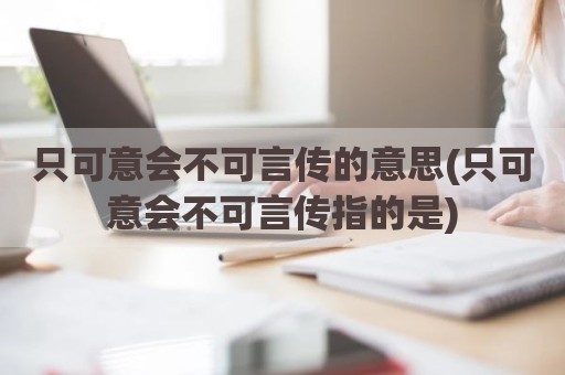 只可意会不可言传的意思(只可意会不可言传指的是)