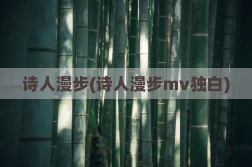 诗人漫步(诗人漫步mv独白)