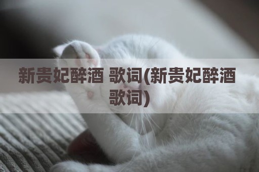 新贵妃醉酒 歌词(新贵妃醉酒 歌词)
