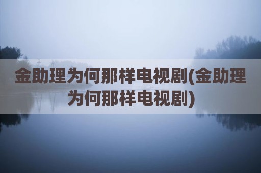 金助理为何那样电视剧(金助理为何那样电视剧)