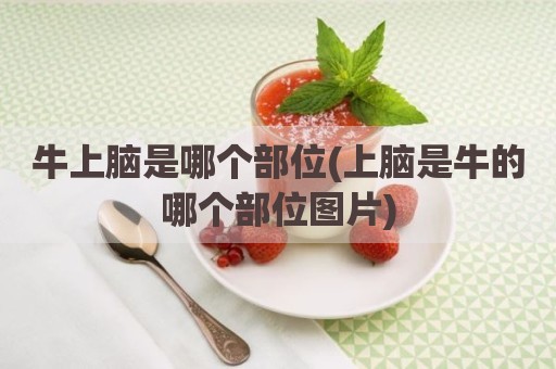 牛上脑是哪个部位(上脑是牛的哪个部位图片)