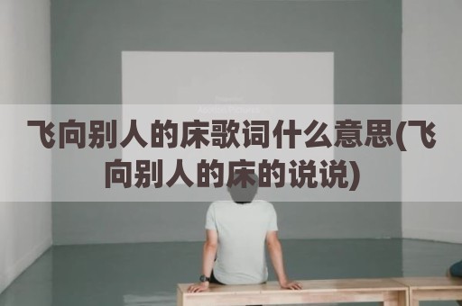 飞向别人的床歌词什么意思(飞向别人的床的说说)