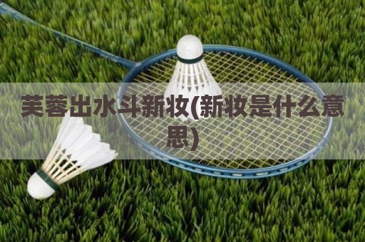 芙蓉出水斗新妆(新妆是什么意思)