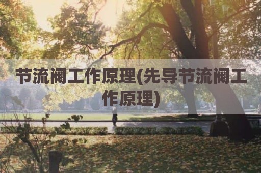 节流阀工作原理(先导节流阀工作原理)