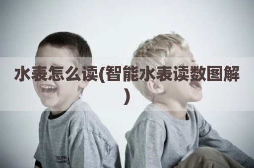 水表怎么读(智能水表读数图解)