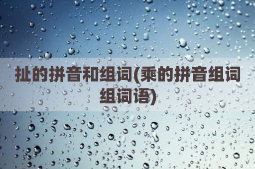 扯的拼音和组词(乘的拼音组词组词语)