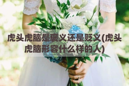 虎头虎脑是褒义还是贬义(虎头虎脑形容什么样的人)