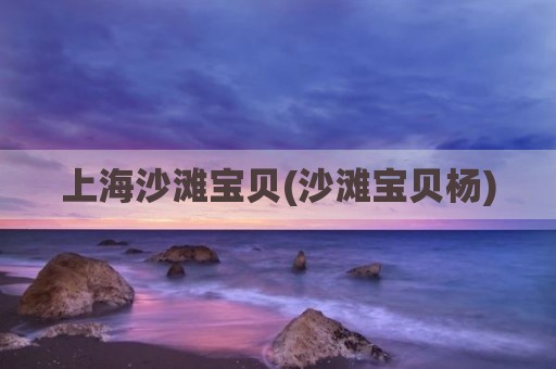上海沙滩宝贝(沙滩宝贝杨)