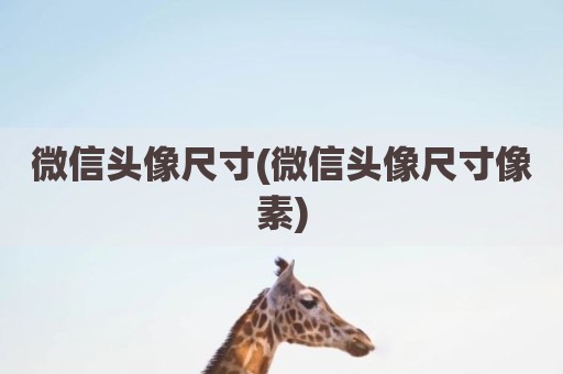 微信头像尺寸(微信头像尺寸像素)