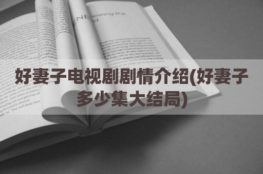 好妻子电视剧剧情介绍(好妻子多少集大结局)