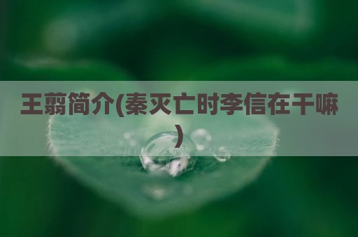 王翦简介(秦灭亡时李信在干嘛)