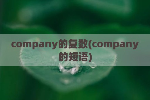 company的复数(company的短语)