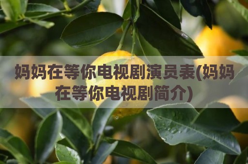 妈妈在等你电视剧演员表(妈妈在等你电视剧简介)