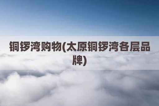 铜锣湾购物(太原铜锣湾各层品牌)