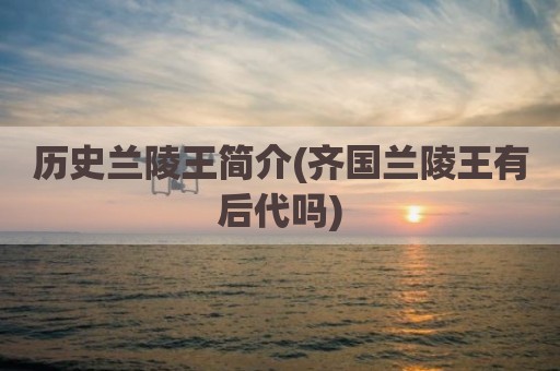 历史兰陵王简介(齐国兰陵王有后代吗)