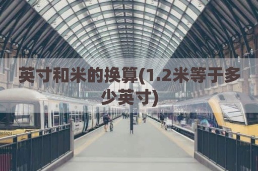 英寸和米的换算(1.2米等于多少英寸)