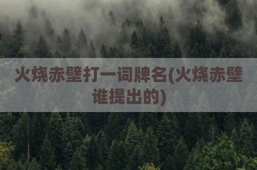 火烧赤壁打一词牌名(火烧赤壁谁提出的)