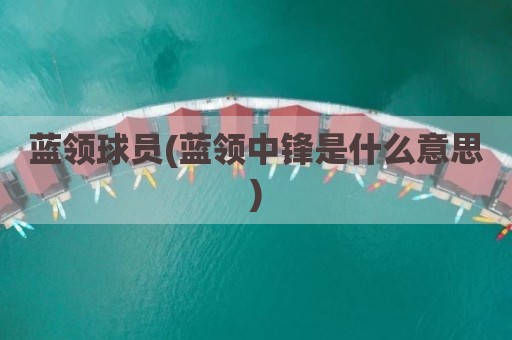 蓝领球员(蓝领中锋是什么意思)