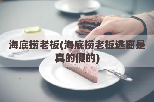 海底捞老板(海底捞老板逃离是真的假的)