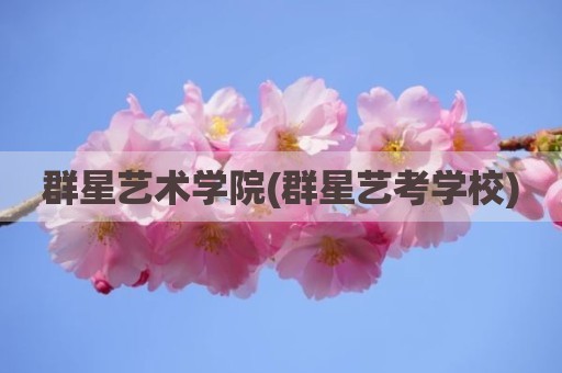 群星艺术学院(群星艺考学校)