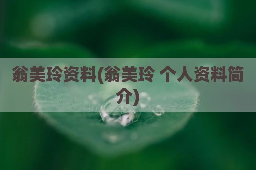 翁美玲资料(翁美玲 个人资料简介)