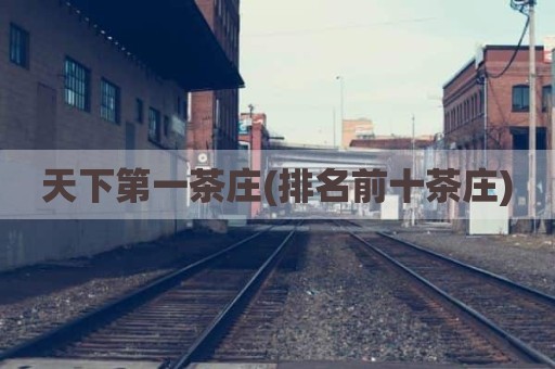 天下第一茶庄(排名前十茶庄)