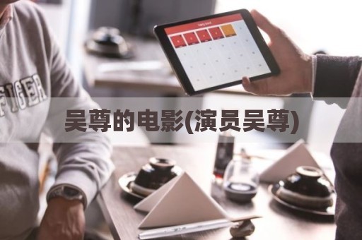 吴尊的电影(演员吴尊)