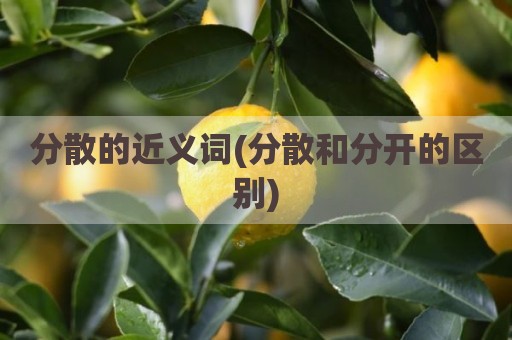 分散的近义词(分散和分开的区别)