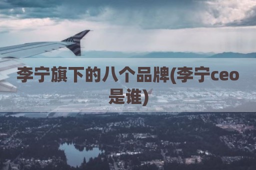 李宁旗下的八个品牌(李宁ceo是谁)