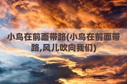小鸟在前面带路(小鸟在前面带路,风儿吹向我们)