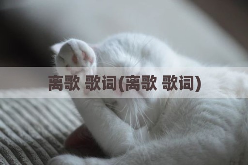离歌 歌词(离歌 歌词)