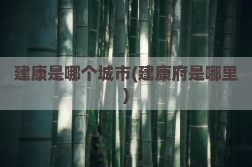 建康是哪个城市(建康府是哪里)