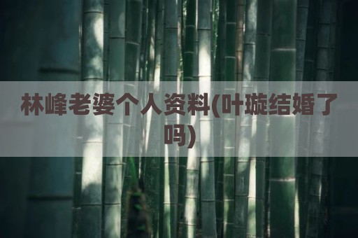 林峰老婆个人资料(叶璇结婚了吗)
