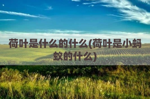 荷叶是什么的什么(荷叶是小蚂蚁的什么)