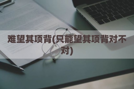 难望其项背(只能望其项背对不对)