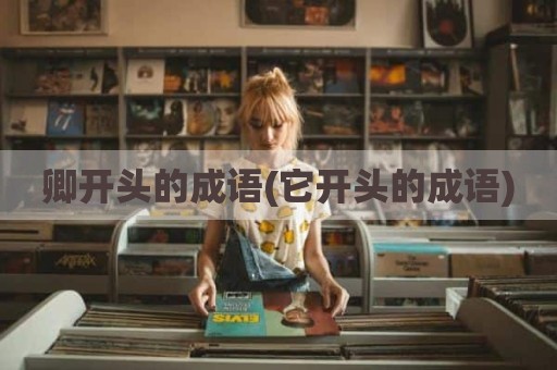卿开头的成语(它开头的成语)