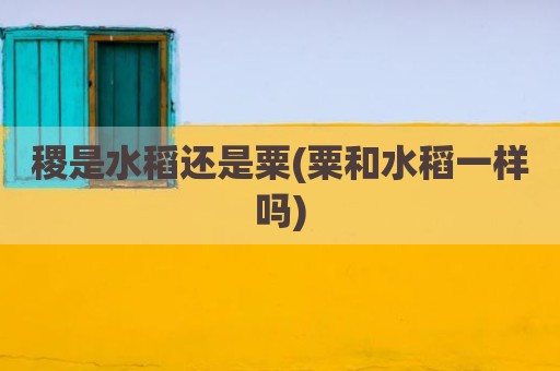 稷是水稻还是粟(粟和水稻一样吗)