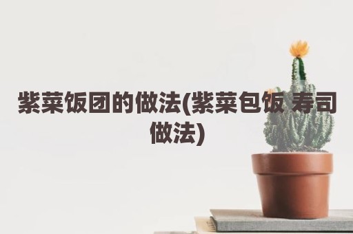 紫菜饭团的做法(紫菜包饭 寿司做法)
