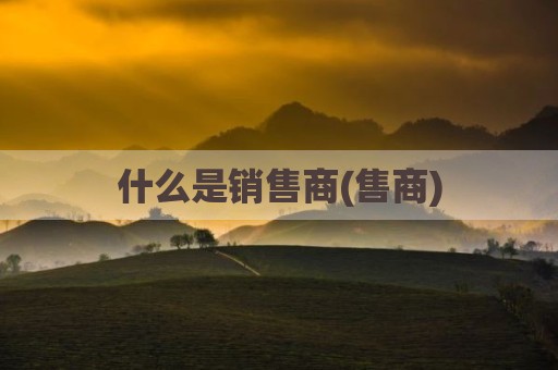 什么是销售商(售商)